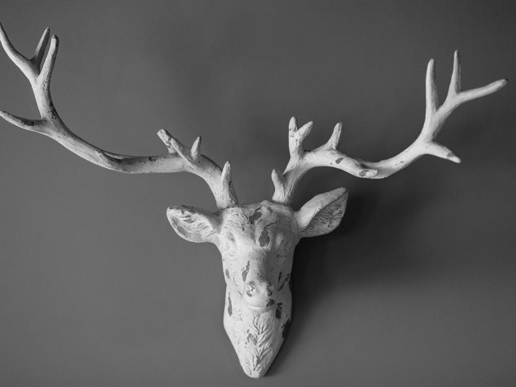 سيدفيلد The Roebuck Inn المظهر الخارجي الصورة